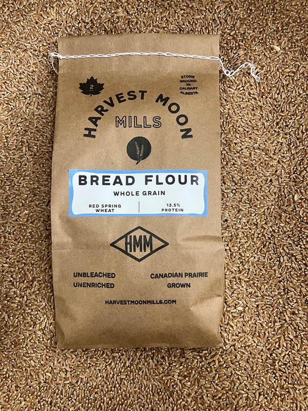 Bread Flour - Whole Grain